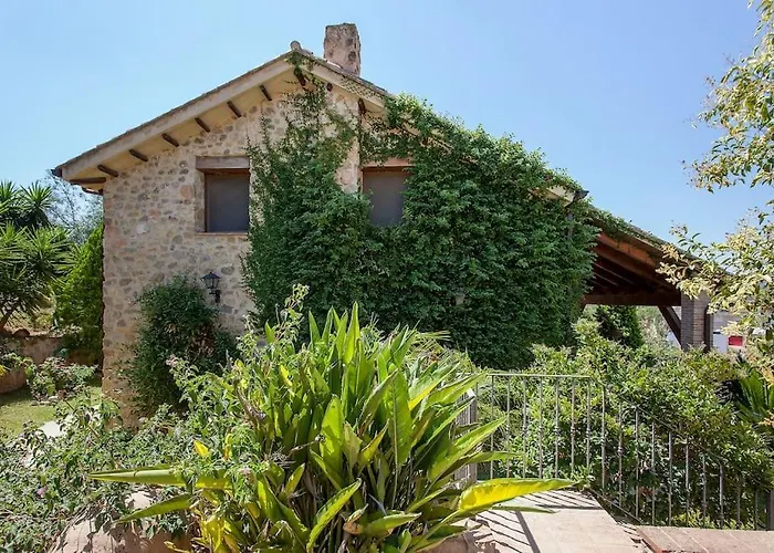 Villa Tamarit Pedralba
